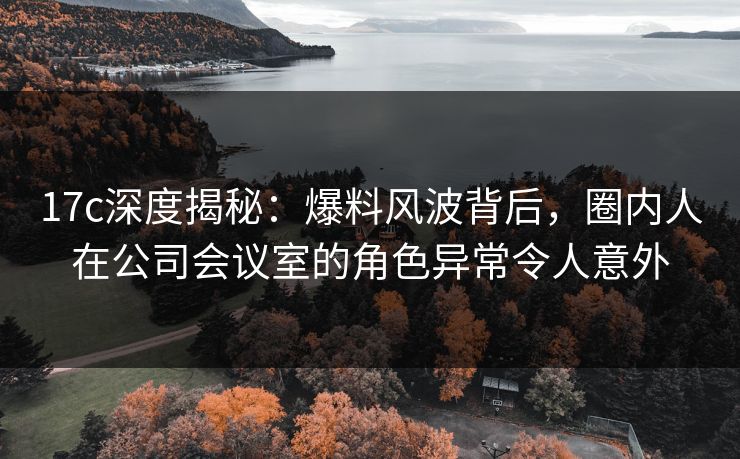 17c深度揭秘：爆料风波背后，圈内人在公司会议室的角色异常令人意外