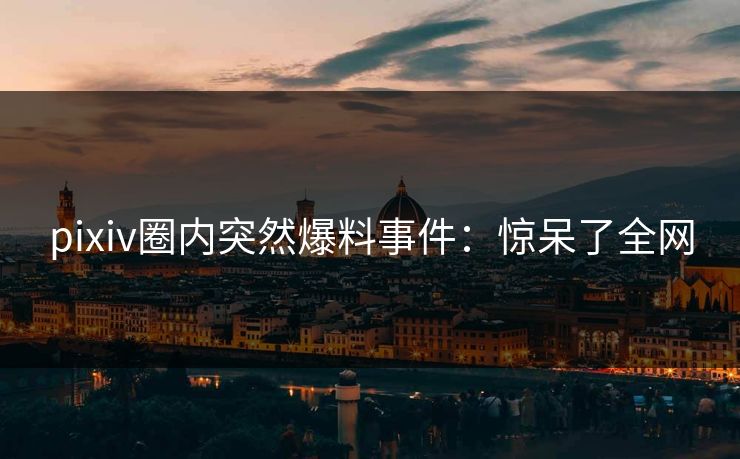 pixiv圈内突然爆料事件：惊呆了全网
