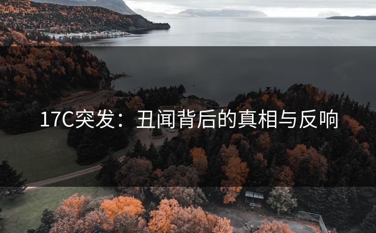 17C突发：丑闻背后的真相与反响
