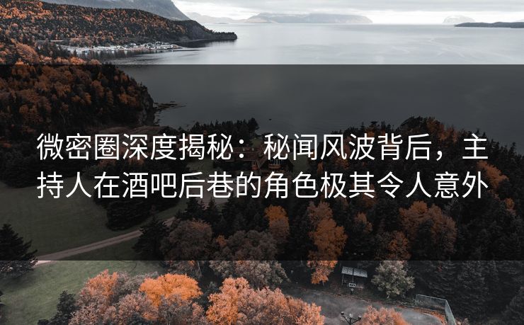 微密圈深度揭秘：秘闻风波背后，主持人在酒吧后巷的角色极其令人意外